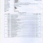 Academic Transcript NU